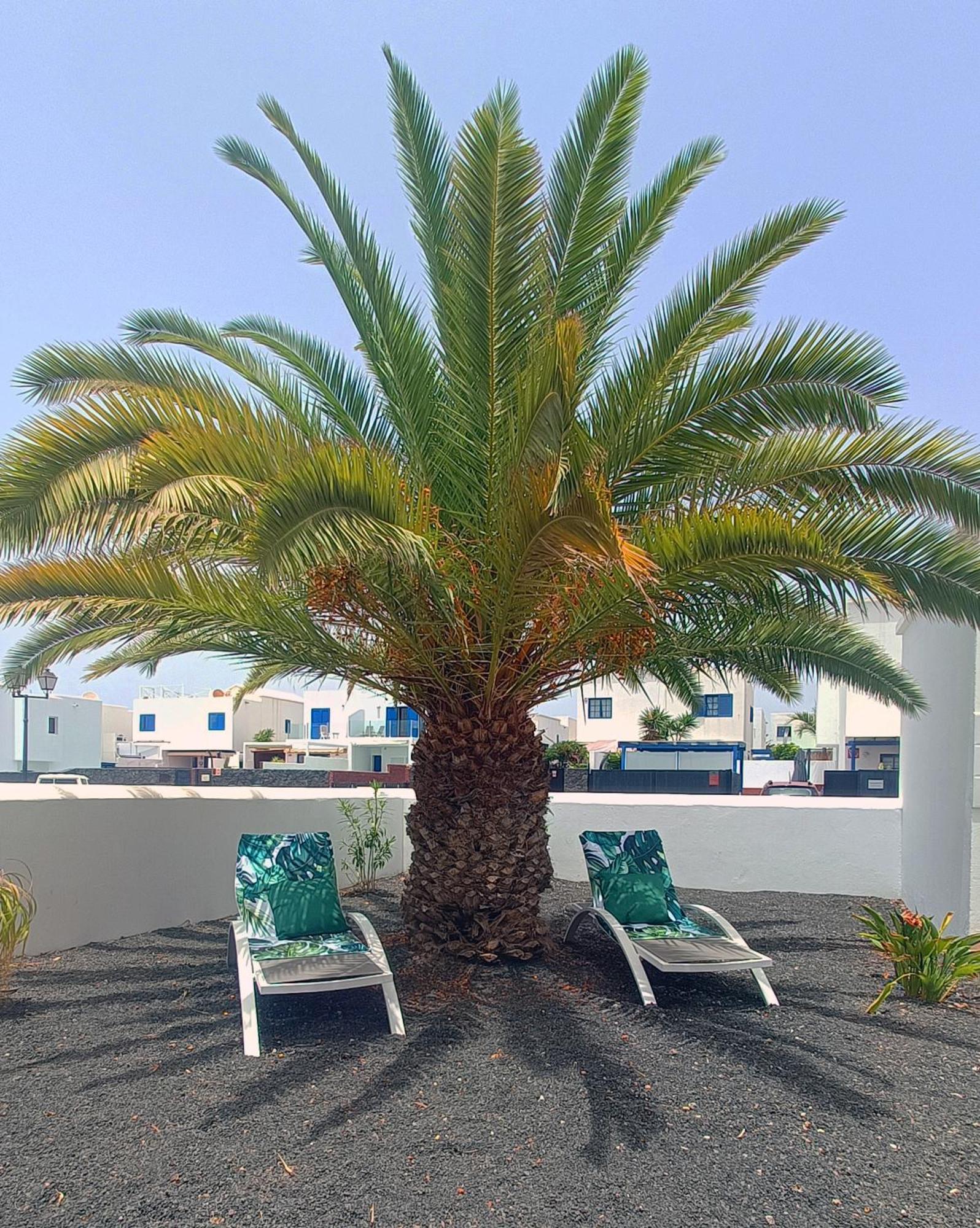 Lovely Casa Felicidad, Swimming Pool, Wifi X Private Garden Playa Blanca  Kültér fotó